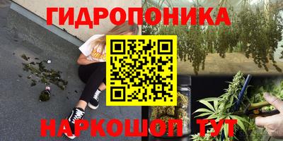 дмт Славянск-на-Кубани