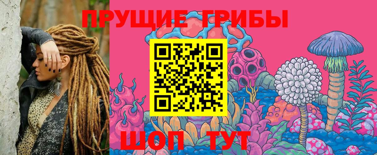 Галлюциногенные грибы Magic Shrooms Новошахтинск