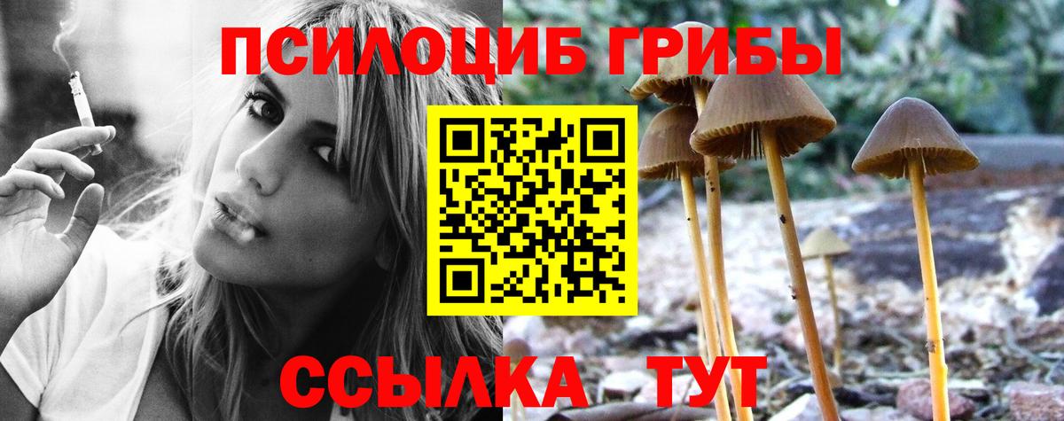 Новошахтинск  Псилоцибиновые грибы мицелий  Вход с VPN 